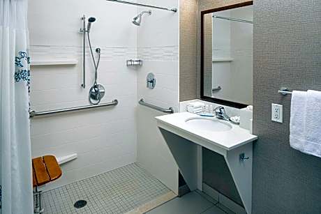 Studio, 1 Queen Bed with Sofa bed (Mobility/Hearing Accessible, Tub)