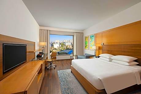 Premium King Room