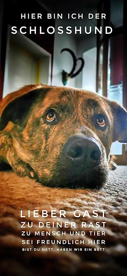 Eventlocation Mieten und Übernachten im Schloss nähe 07407 Rudolstadt
