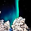 Arctic Shaman Adventures -Jurtta
