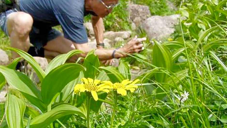 Kyukamura Shonai-Haguro