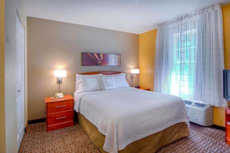 One-Bedroom Queen Suite with Sofa Bed