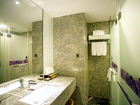 Deluxe King size bed Room