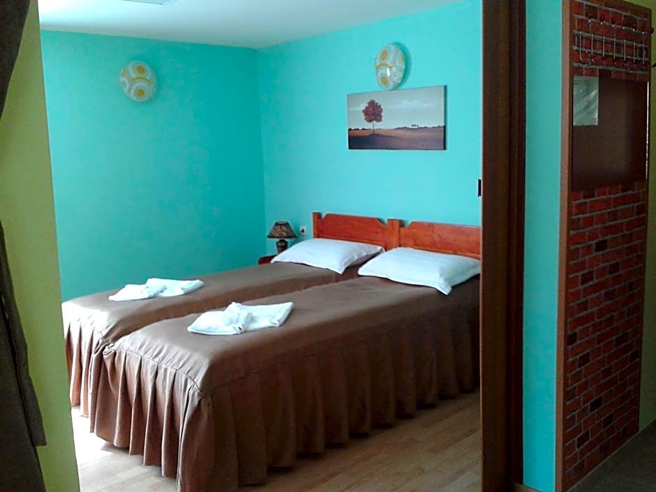 Pensiunea Aurora - Great hostel Voineasa