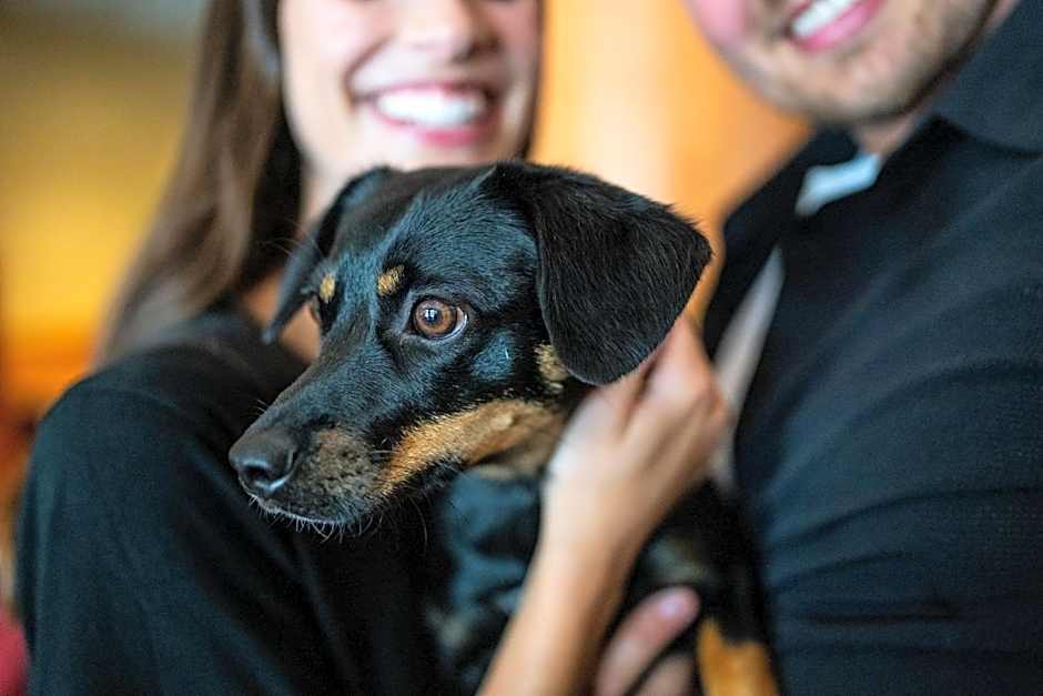 Whistler Village Inn & Suites