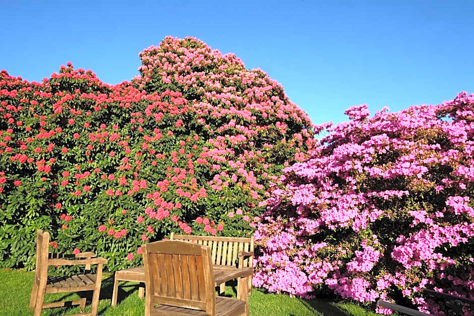 Park Hotel Villa Belvedere