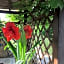 Il Ghiro B&B