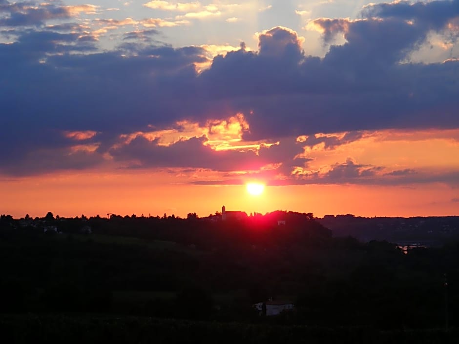 Chambres d'Hôtes Vignes et Loire