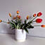 B&B Suite Cutelli