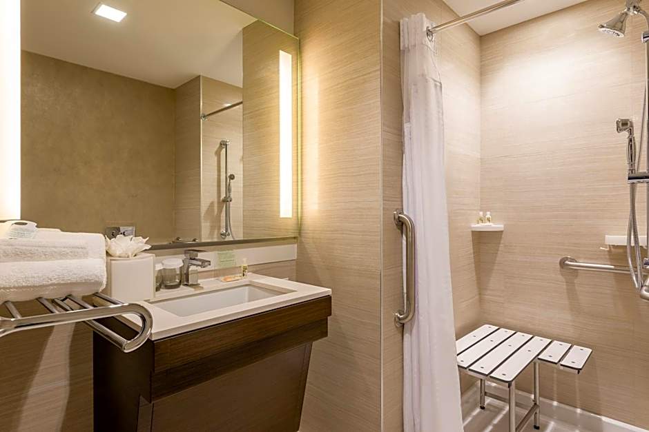 Holiday Inn Brooklyn Downtown By IHG