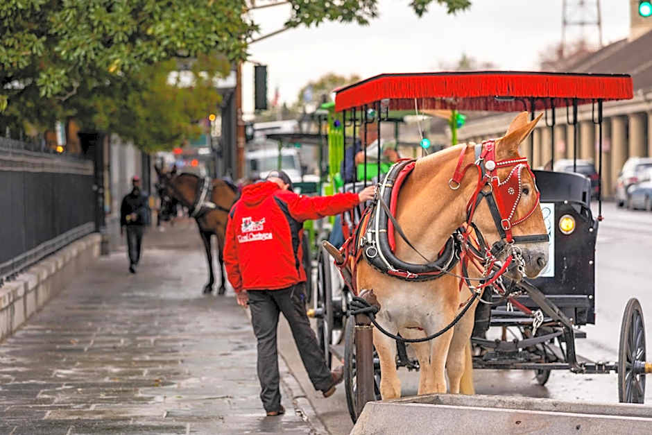 Hotel de la Monnaie, French Quarter