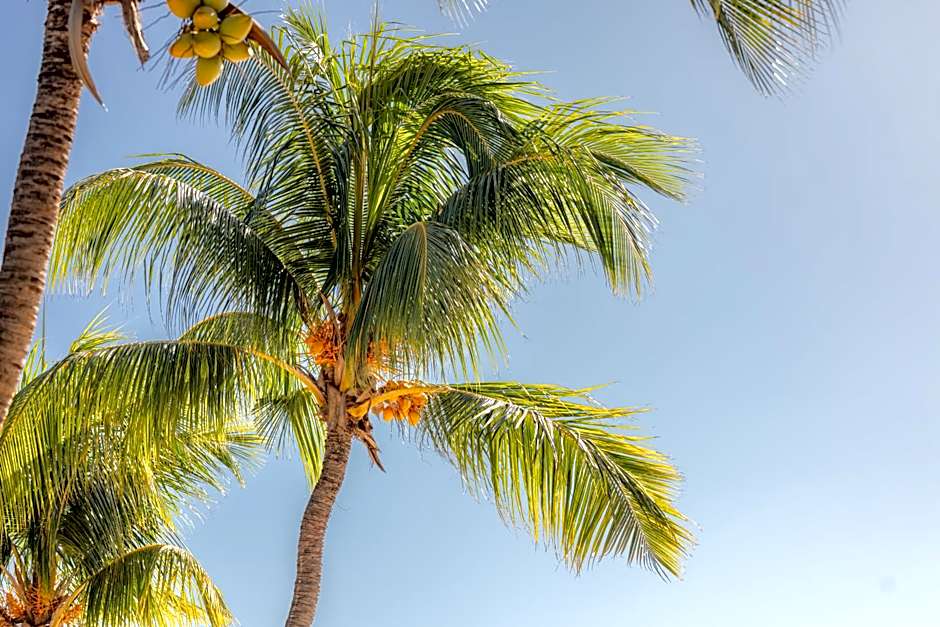 Le Rivaz Hotel, Mauritius