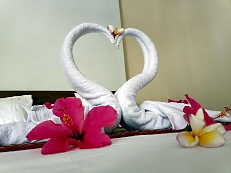 Double Room with Free Bike Use