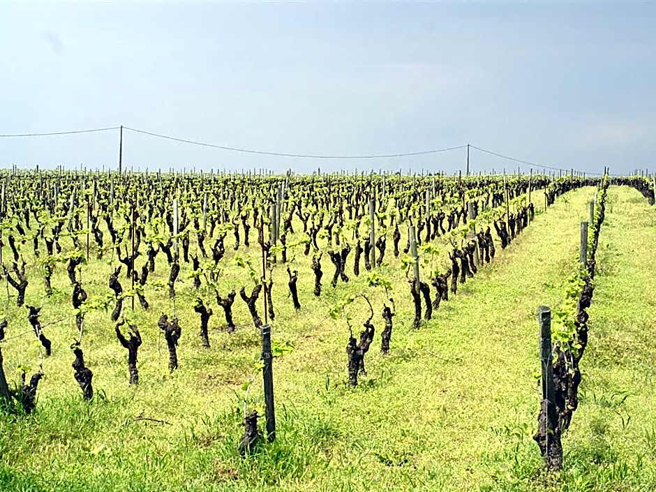 Château de la Galissonnière