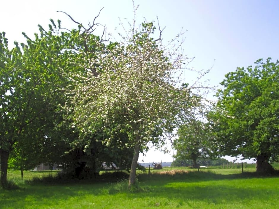 Chambres d'hôte Honey Orchard Farm