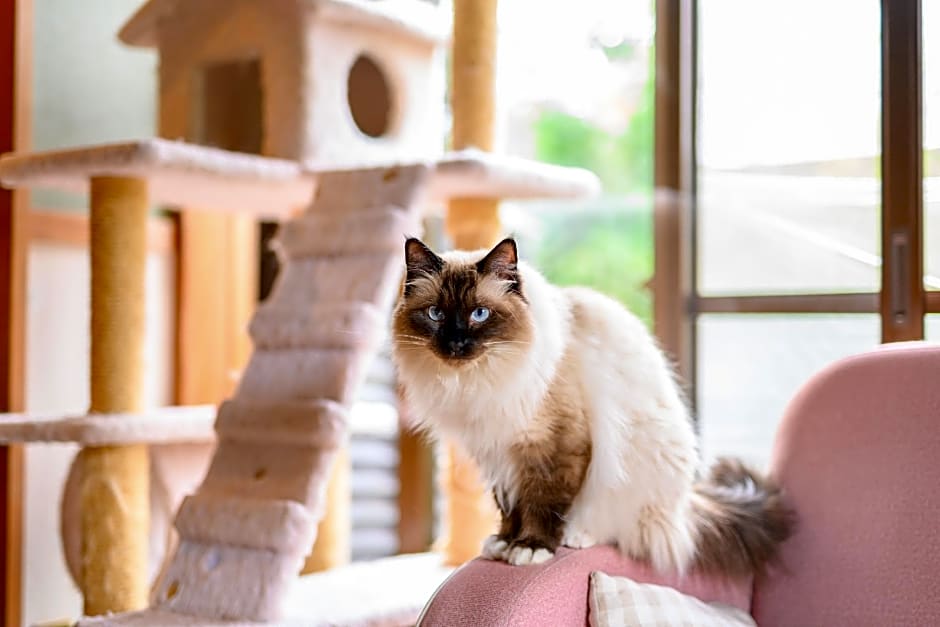 Yufuin Waraneko no Yado