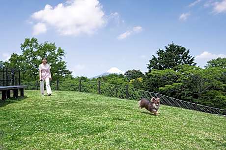Dog-Frinendly Japanese/Western Twin, Guest room, Guest room, 1 King, Garden view