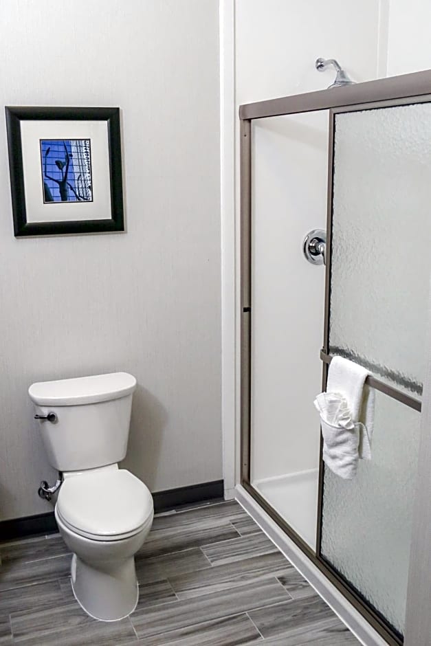 Holiday Inn Hotel & Suites Denver Tech Center-Centennial By IHG