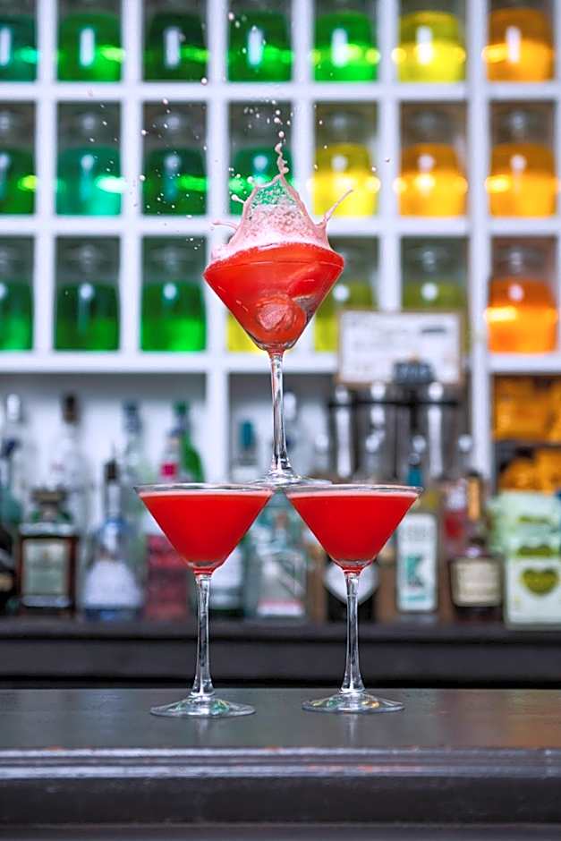 The Exhibitionist Hotel