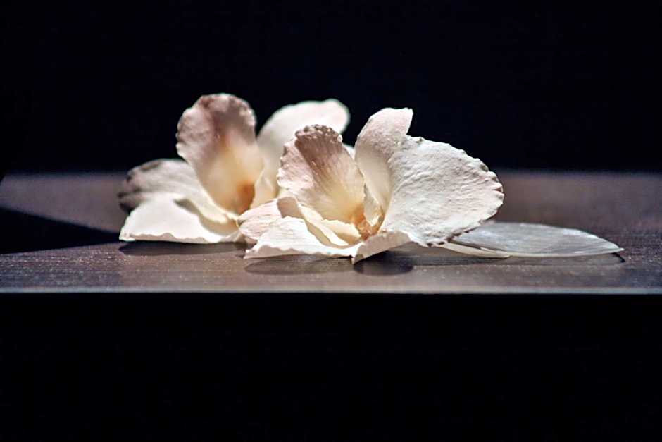 Hotel & SPA Waldecker Hof