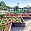 Hotel Paradiso Garden