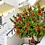 Melitti Hotel