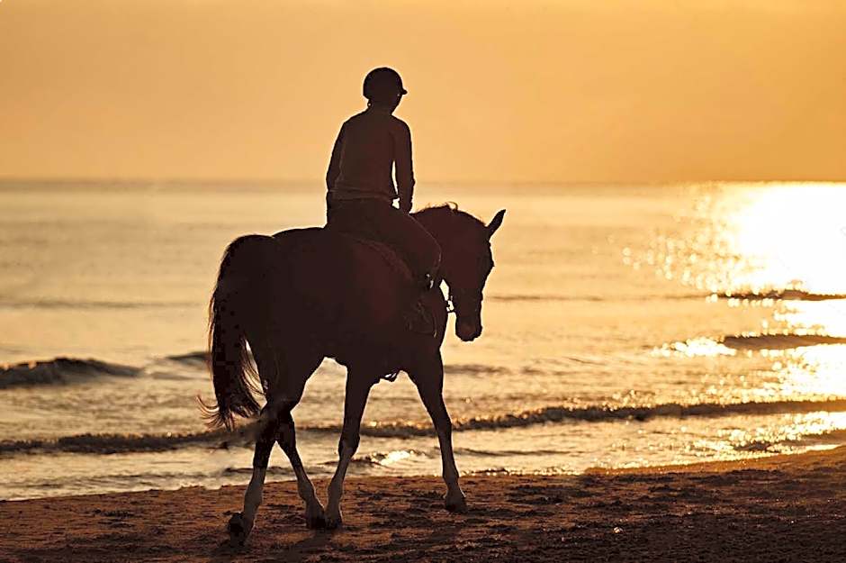 Dom Wypoczynkowy Słoneczna
