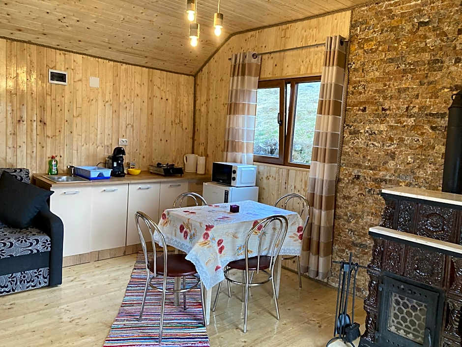 Cabana doi mesteceni