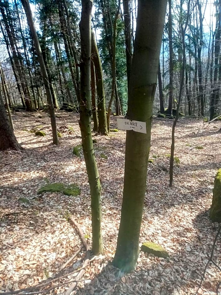 Apartmán Starý Mlyn