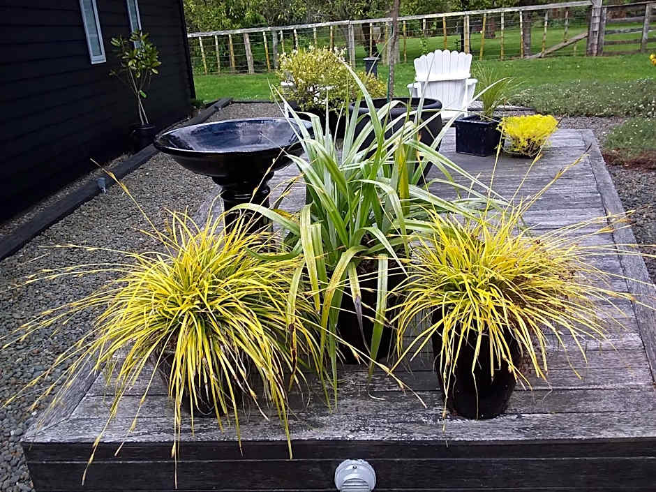 Karapiro Willows Luxury B & B