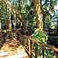 The Reef Playacar Resort & Spa-Optional All Inclusive