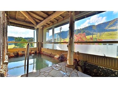 Hakuba Alps Hotel - Vacation STAY 42410v