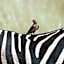 Morokolo Safari Lodge Self-catering