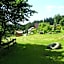 Auerhahn Bed and Breakfast - Black Forest - Waldhotel