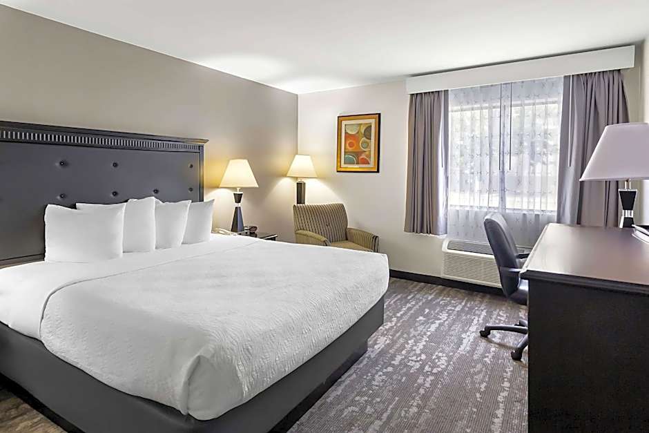 Best Western Saluki Inn