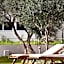 Civitel Attik Rooms & Suites