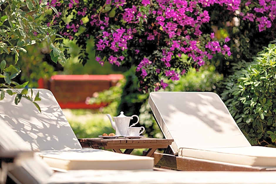 Luna Begonvil Tas Evler