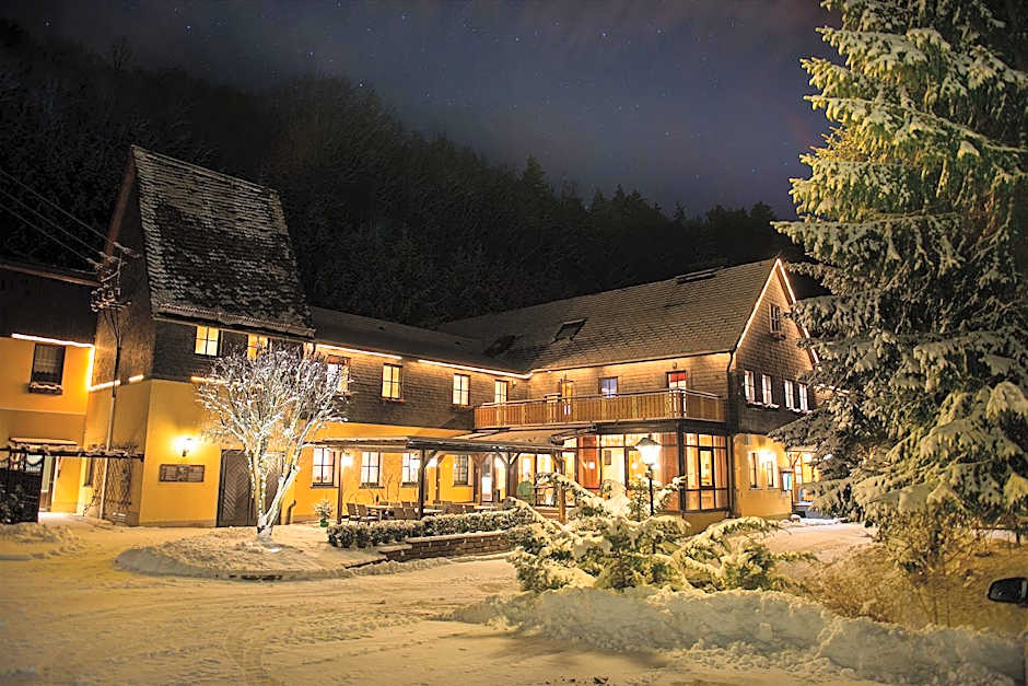 Flair-Waldhotel Mellestollen