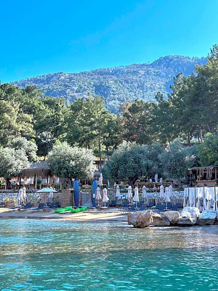 Z-Villas Beach Hotel