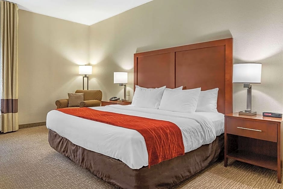 Comfort Inn & Suites Clemson - University Area 