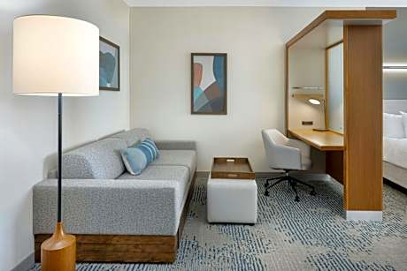 King Suite with Sofa Bed