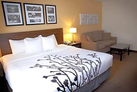 Sleep Inn & Suites Moundsville - Wheeling