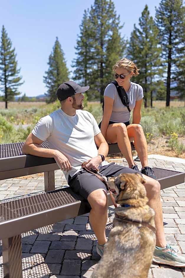 Martis Valley Lodge Tapestry Collection by Hilton