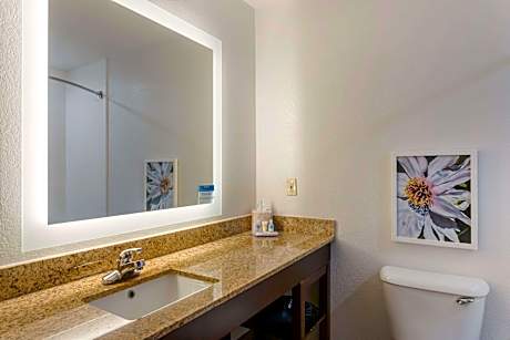 1 King Bed, Suite, Nonsmoking
