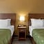 Quality Inn Saint Petersburg North-Tampa Bay