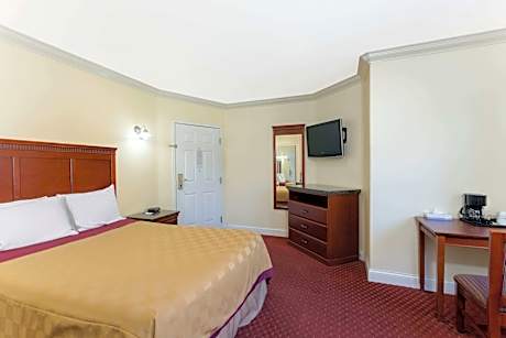 1 Queen Bed, Mobility/Hearing Impaired Access Room, Roll-In Shower, Non-Smoking