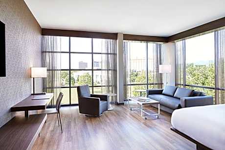Guest room, 1 King, Sofa bed, City view, Corner room
