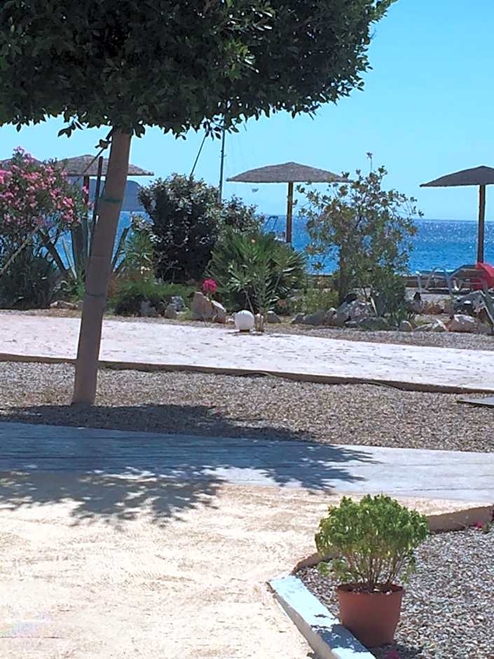 Tony's Beach