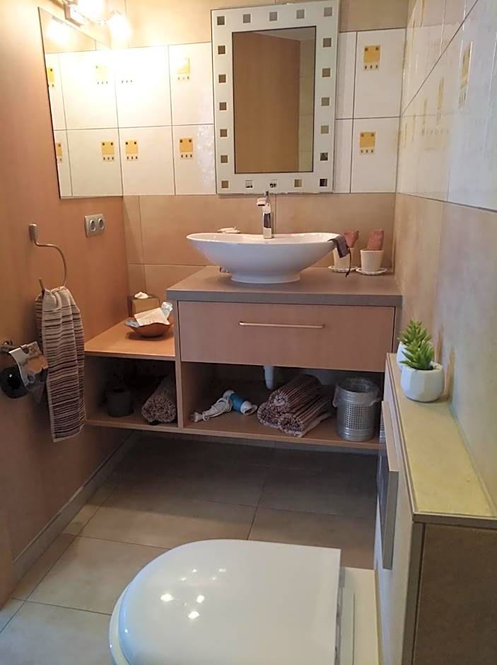 Business Apartments