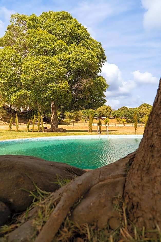 Finca Santa Teresa, Casa Granada
